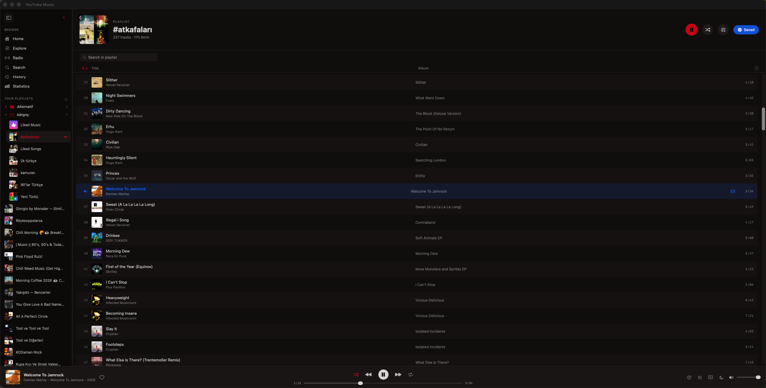 YTMusic running on macOS